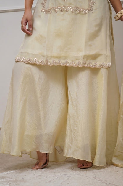 Elegant Cream Heavy Chinon Embroidered Festive Suit Set